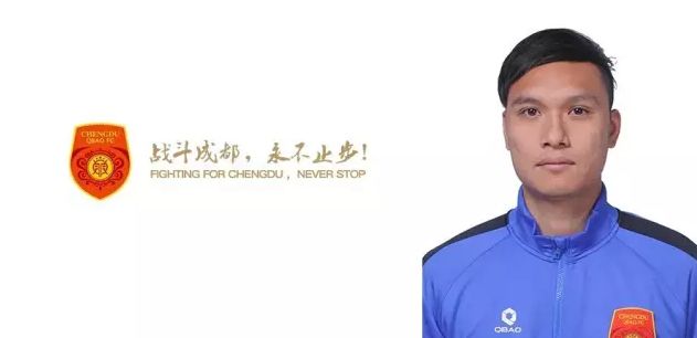 国产精品系列在线观看
