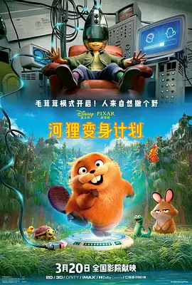 伧理片