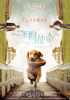 熊猫电影yy8y4免费观看