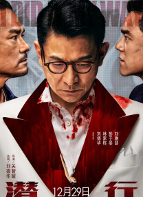 成人a视频在线观看